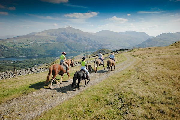 Snowdonia Riding Stables